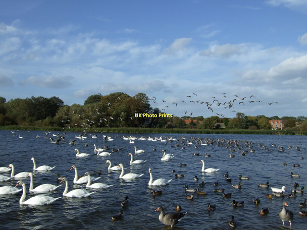 Photo 6"x4" Hornsea Mere Hornsea c2011