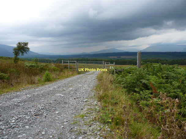 Photo 6"x4" Gate on the Lairig track Inverroy c2011