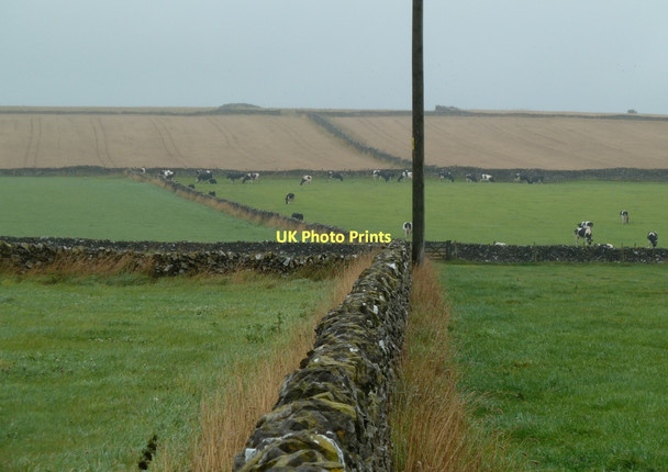 Photo 6"x4" Upland fields between Johnson Lane and Deepdale Sheldon\/SK1768 c2011