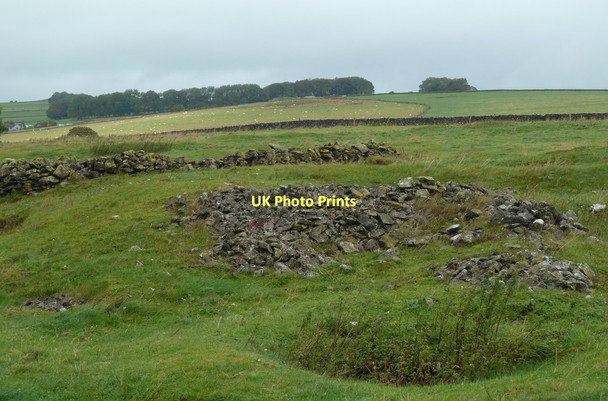 Photo 6"x4" Field in a former mining area Flagg c2011