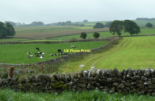 Photo 6"x4" Fields on Flagg Moor Flagg c2011