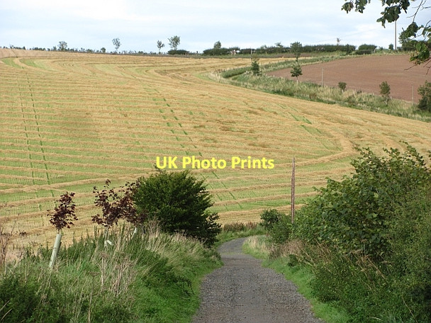 Photo 6"x4" Road to Marldown Bareless c2011