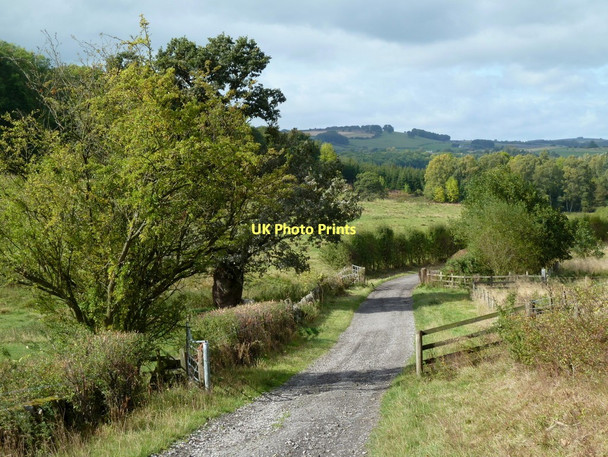 Photo 6"x4" Track below Coombs Farm Bakewell c2011