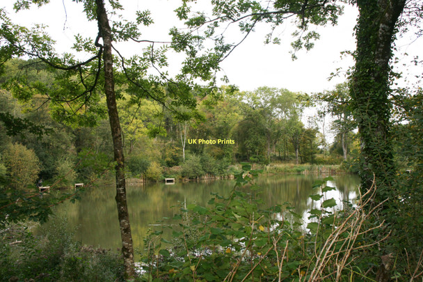 Photo 6"x4" The Lake at Wych Lodge Heale\/ST2419 c2011