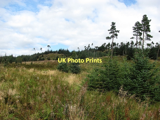 Photo 6"x4" Carron  Valley Forest River Carron\/NS6684 c2011