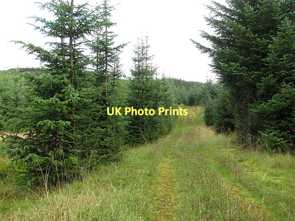 Photo 6"x4" Track in Carron Valley Forest River Carron\/NS6684 c2011