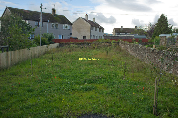 Photo 6"x4" Milnathort Community Orchard Kinross c2011