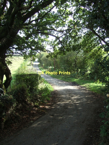 Photo 6"x4" Minor road near Willingstone Rock Moretonhampstead c2011
