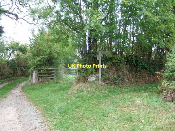 Photo 6"x4" Junction of footpaths near Butterdon Cottages Moretonhampstead c2011