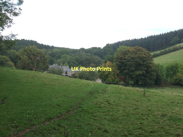 Photo 6"x4" Field south of Coombe Court Moretonhampstead c2011