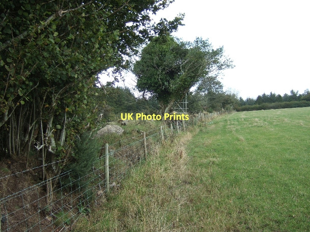 Photo 6"x4" Field boundary north of Holcombe Moretonhampstead c2011