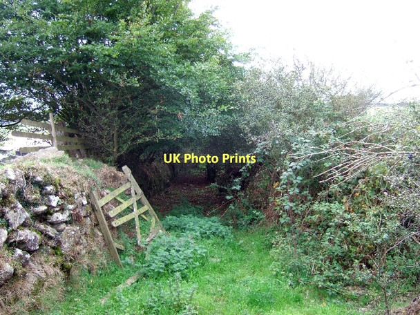 Photo 6"x4" Old lane near Bowden Farm Moretonhampstead c2011