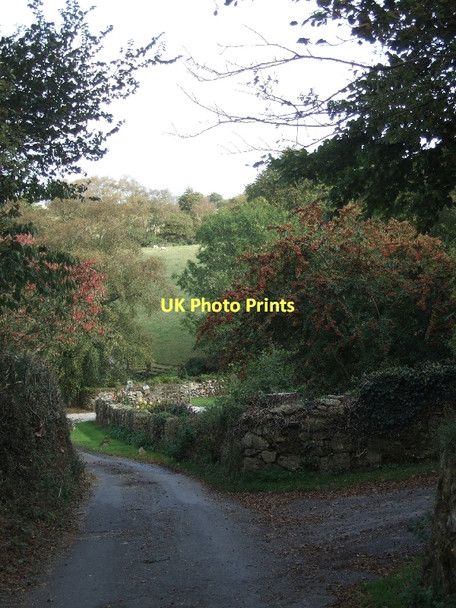 Photo 6"x4" Minor road through Cranbrook Moretonhampstead c2011