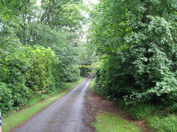 Photo 6"x4" Road from the Gardens to Cullen House Cullen\/NJ5167 c2009