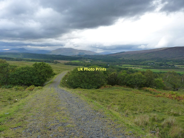 Photo 6"x4" Estate track crossing a small burn above Insh Inverroy c2011
