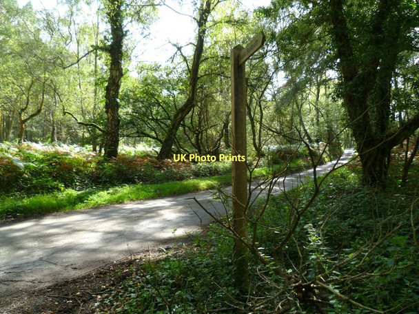 Photo 6"x4" Footpath reaches road on Winterfold Heath Rowly c2011