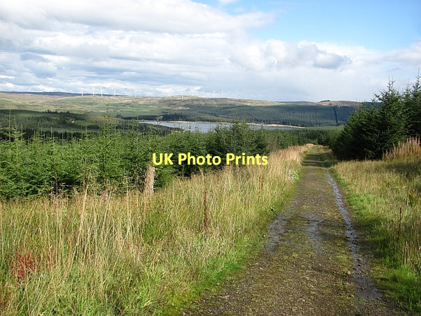 Photo 6"x4" Track on the Little Bin Bin Bairn c2011