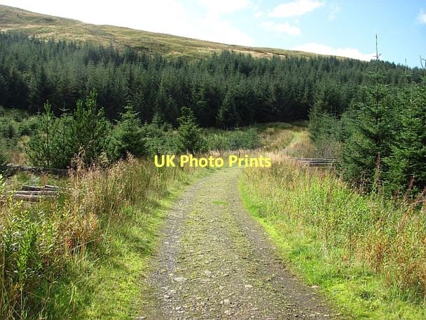 Photo 6"x4" Path to Meikle Bin Bin Bairn c2011