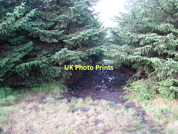 Photo 6"x4" Path on Meikle Bin Bin Bairn c2011