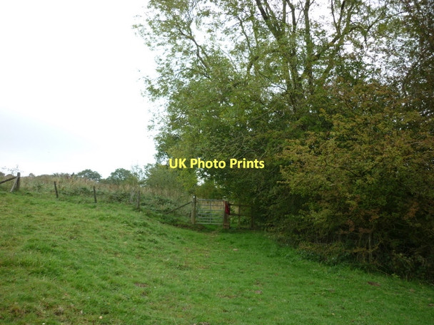 Photo 6"x4" A path leading to Yearsley Yearsley c2011