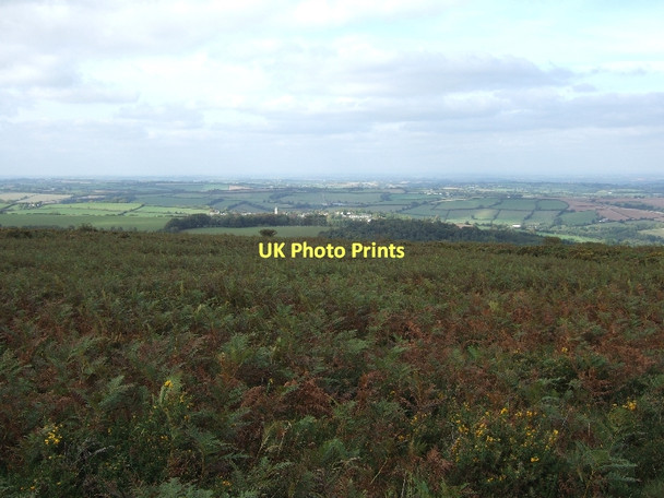 Photo 6"x4" Bracken and a gorse bush in Cranbrook Castle Drewsteignton c2011