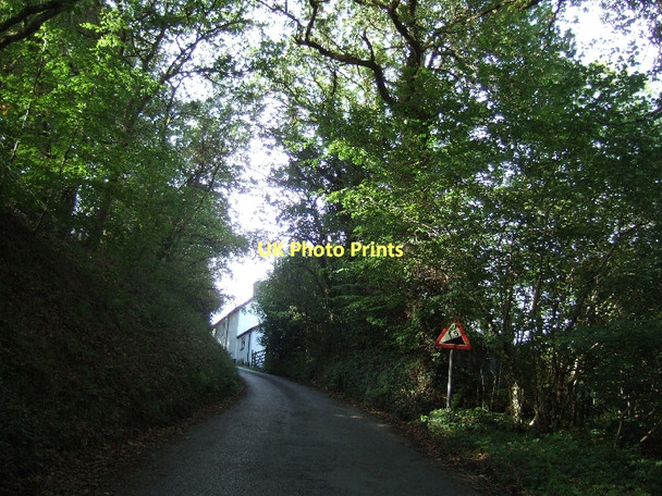 Photo 6"x4" Hill from Fingle Bridge into Drewsteignton Drewsteignton c2011