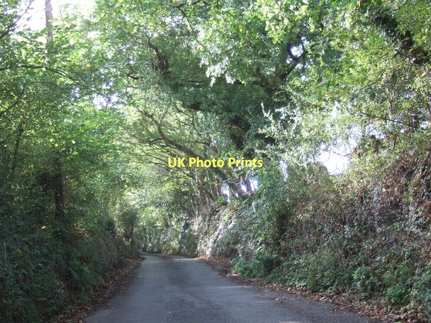Photo 6"x4" Minor road passing Drewston House Drewsteignton c2011