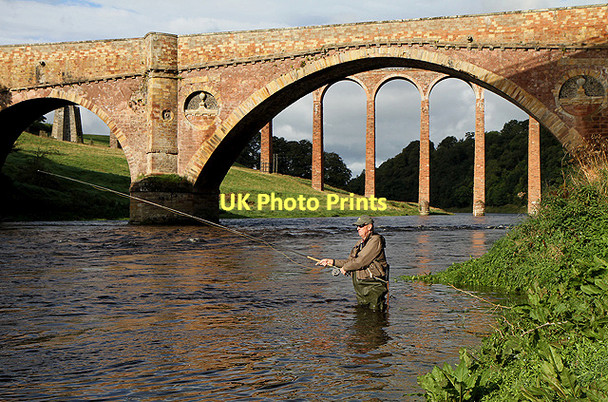 Photo 6"x4" Salmon fishing on the River Tweed Newstead\/NT5634 c2011