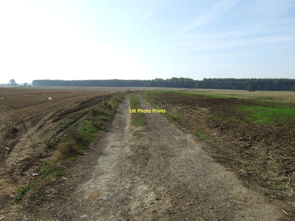 Photo 6"x4" Mellinder Lane (bridleway) Marr\/SE5105 c2011