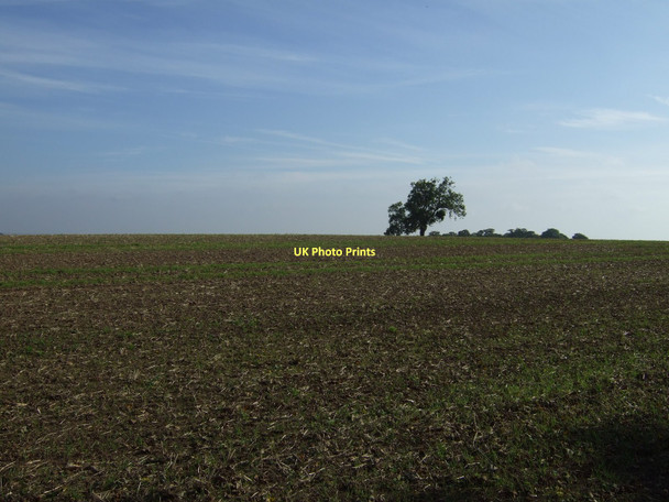 Photo 6"x4" Farmland, Sheep Walks Barnburgh c2011