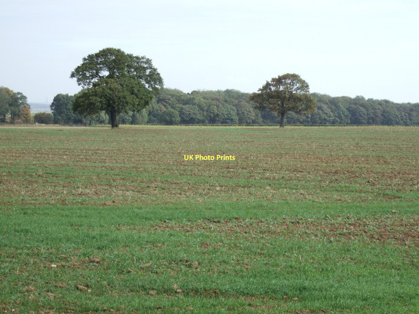 Photo 6"x4" Farmland towards Hampole Wood Brodsworth c2011
