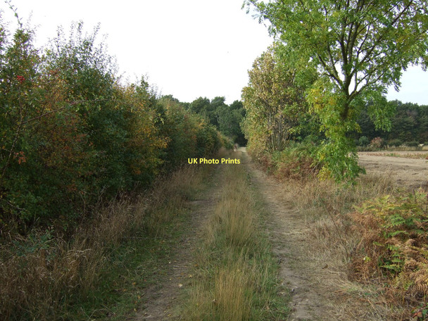 Photo 6"x4" Track towards Hooton Pagnell Wood Hooton Pagnell c2011