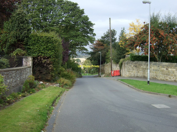 Photo 6"x4" Ninevah Lane, Badworth Badsworth c2011