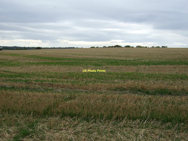 Photo 6"x4" Farmland off Ackworth Road Featherstone\/SE4220 c2011