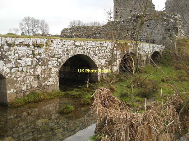 Photo 6"x4" Athassel Abbey Golden\/S0138 c2011