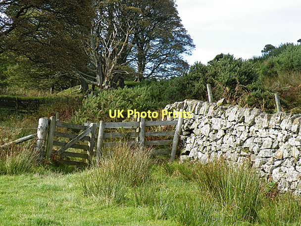 Photo 6"x4" Gate and Dyke Kilchattan Bay\/NS1055 c2011