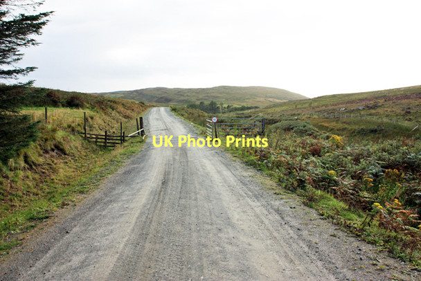 Photo 6"x4" Leaving the forest Killean\/NR6944 c2011
