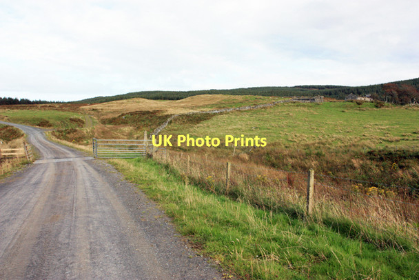 Photo 6"x4" Track to Braids Killean\/NR6944 c2011