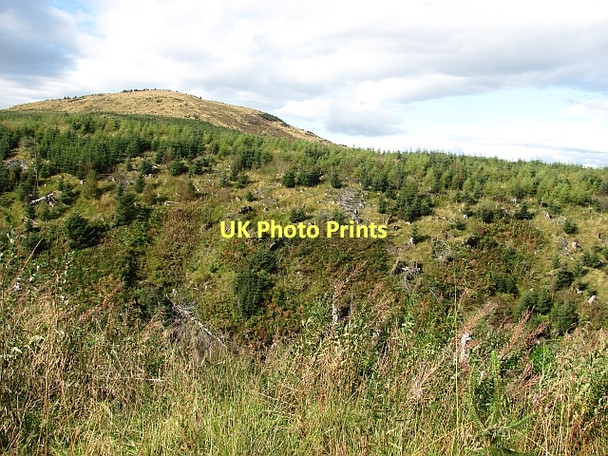 Photo 6"x4" Little Bin Little Bin\/NS6782 c2011
