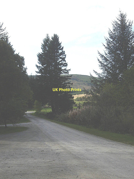 Photo 6"x4" Exit from Bin Forest car park Huntly c2011