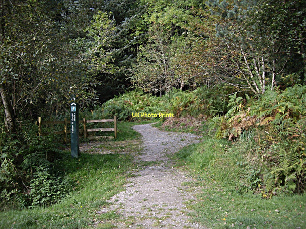 Photo 6"x4" Forest Walks signpost Huntly c2011
