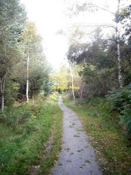 Photo 6"x4" Cycle path north through Bin Forest Huntly c2011
