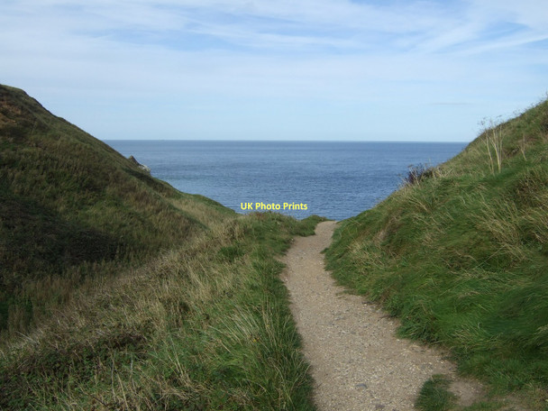 Photo 6"x4" Path down to Thornwick Bay North Landing c2011