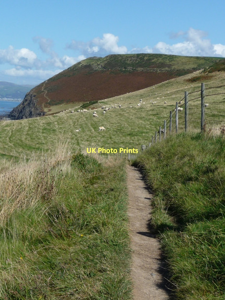 Photo 6"x4" The well-used coastal footpath Clarach c2009