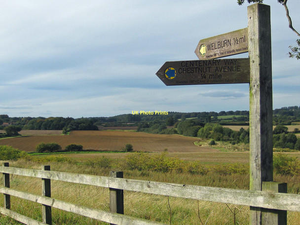 Photo 6"x4" Choice of two footpaths Crambeck c2011