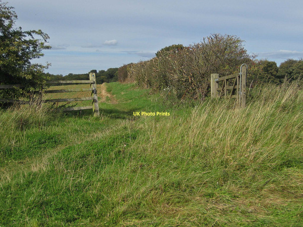 Photo 6"x4" Centenary Way, heading to Coneysthorpe Crambeck c2011
