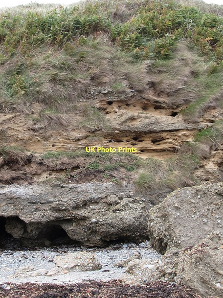 Photo 6"x4" Sand martin nesting holes in the cliffs Ballyhornan c2011