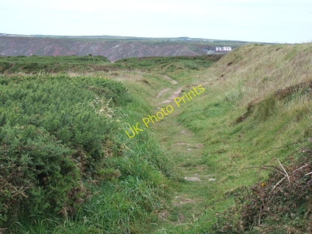 Photo 6"x4" Coastal footpath south of Long Point Kete c2009
