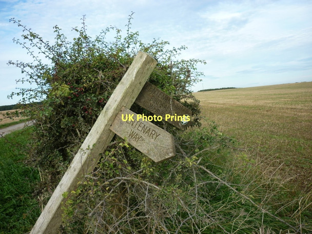 Photo 6"x4" A signpost for the Centenary Way Walk Thixendale c2011