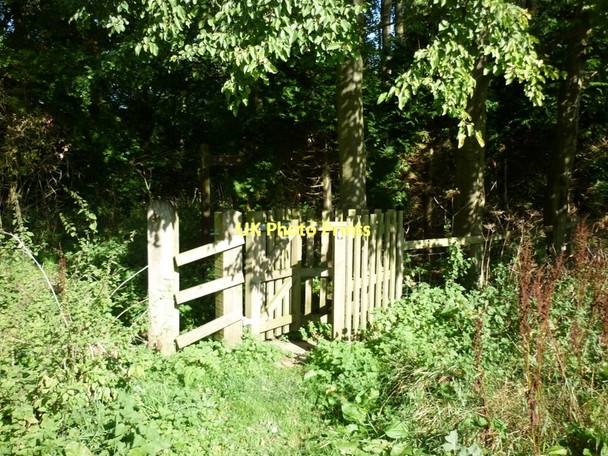 Photo 6"x4" Entering Settrington Wood North Grimston c2011